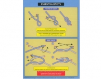 Essential knots