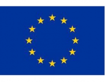 Vlajka európska únia 20 x 30 cm